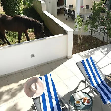Villa Stone Oasis With Swimspa Pool